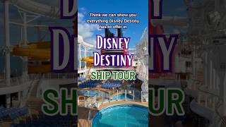Stop scrolling and check out everything this new cruise ship has to offer! #cruise #shorts