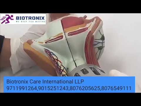 Biotronix ESWT 5 Heads ED Shockwave Therapy Machine Body Pain Relief Massager For ED Treatment