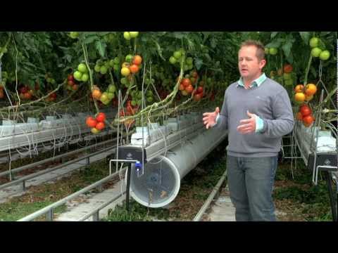 , title : 'Greenhouse promo video for Nature Fresh Farms Leamington'