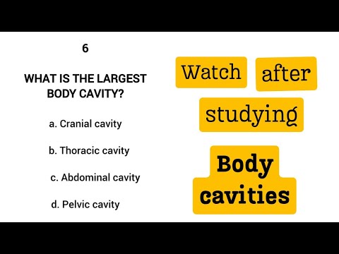 Top 30 MCQS on BODY CAVITIES (Abdominal cavity, pelvic cavity, Thoracic cavity)