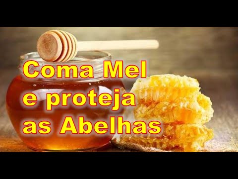 Coma Mel e Proteja as Abelhas