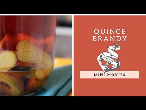 download lagu mp3 mp4 Quince Brandy, download lagu Quince Brandy gratis, unduh video klip Quince Brandy