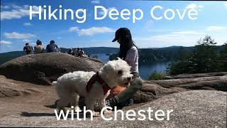 バンクーバーの人気ハイキングスポット | Deep Coveで絶景と癒しの時間