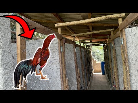 News from the Breeding Center and Tips for Those Who Love to Raise Birds