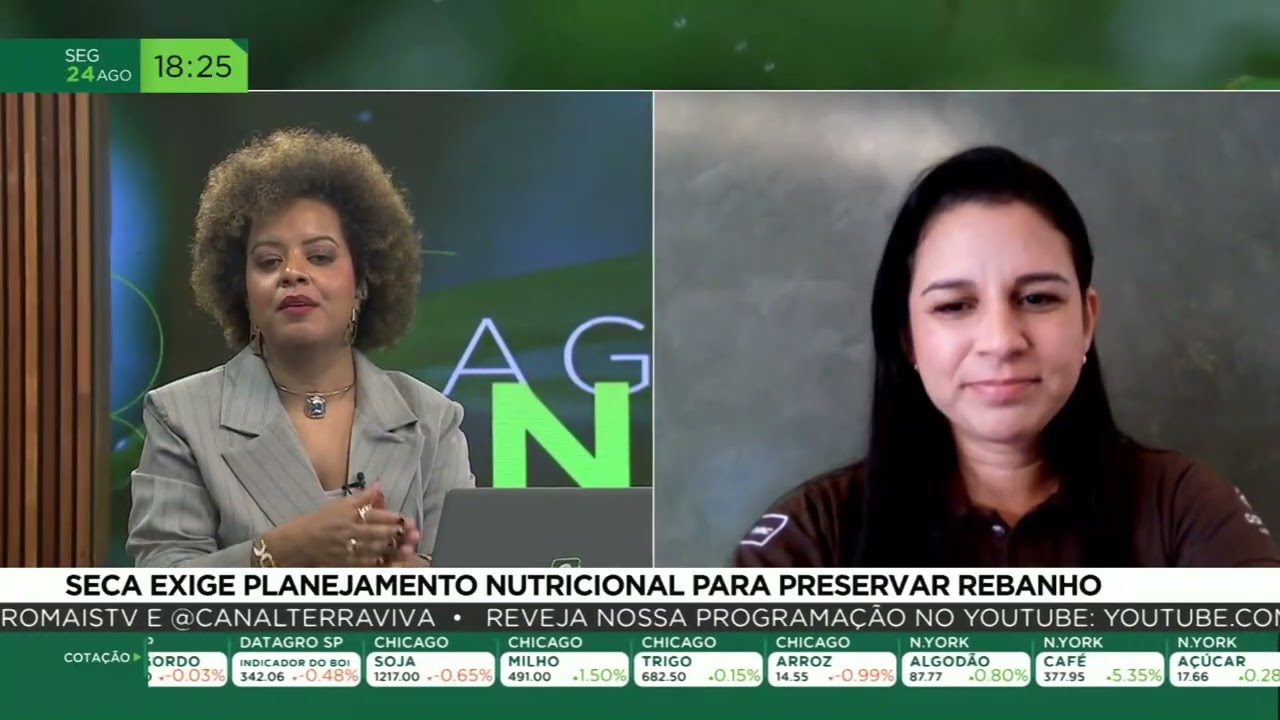 Seca exige planejamento nutricional para preservar rebanho