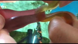 全クリした後のゼルダを初見プレイ(グミバトルもあるよ！)