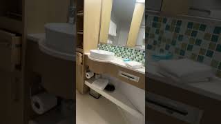 Vision of the Seas Cruise Ship Balcony 7020