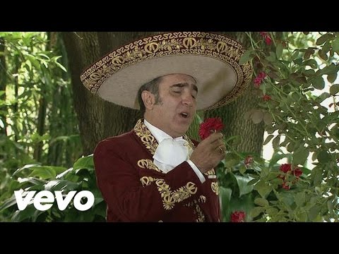 Desde Que Tu Te Fuiste - Vicente Fernández