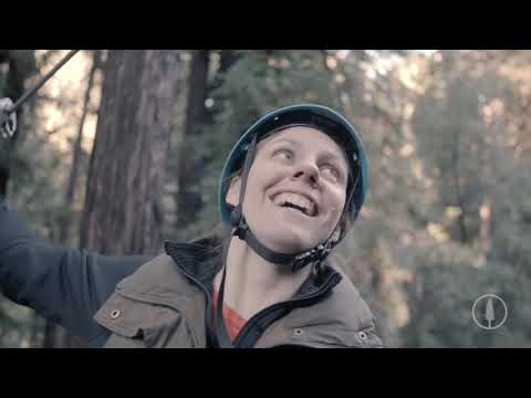 7Roots Creative video.