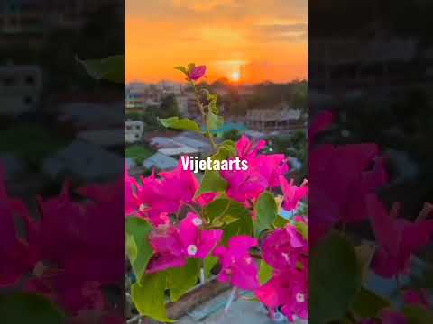 #haraa #patta#flowers  #gaden