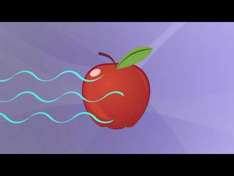 How X rays see through your skin