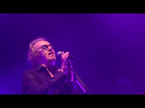 Tozzi "Dimentica dimentica" live