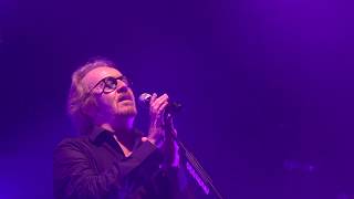 Tozzi &quot;Dimentica dimentica&quot; live