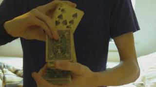 Magnitude Tutorial