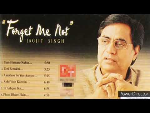 ABHI WOH KAMSIN JAGJIT SINGH