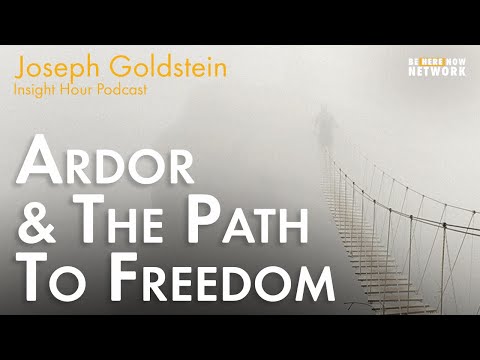 Joseph Goldstein on Ardor and the Path to Freedom - Insight Hour Ep. 153