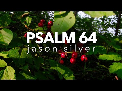 🎤 Psalm 64 Song - Oppressed but Rejoicing - Scripture Song