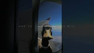 love you still - Tyler shaw #music #aesthetic #status #lyrics #video #shorts #short #tylershaw