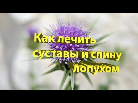 Боль выше поясницы слева и температура Боли в пояснице после лежания на животе