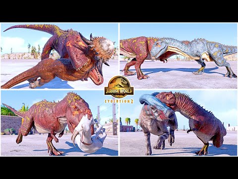 Majungasaurus All Perfect Animations & Interactions 🦖 Jurassic World Evolution 2 - JWE