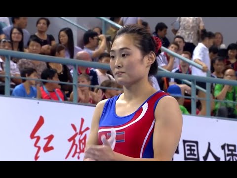 2014 World Artistic Gymnastics Championships Nanning Women's Vault Final WAG VT EF