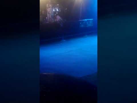 Milica Pantic - Plana. Ne lomi mi lojze