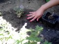 Taking Care Of Nature