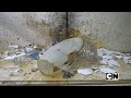 HowToBasic Interruption In Cartoon Network Brazil December 2023 Totally Rare And Real