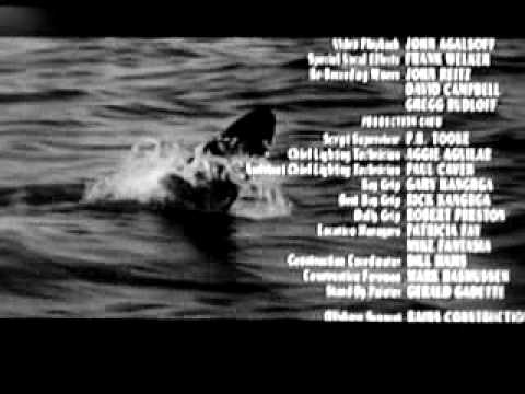 Free Willy 2: The adventure home ( ending )