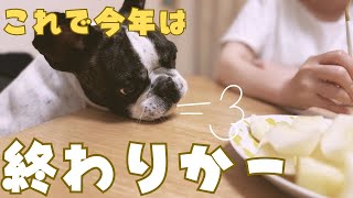フレブルと今年分を食べ納めします😭