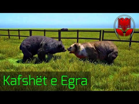 Kafshët e Egra !! - Far Cry 4 SHQIP | SHQIPGaming