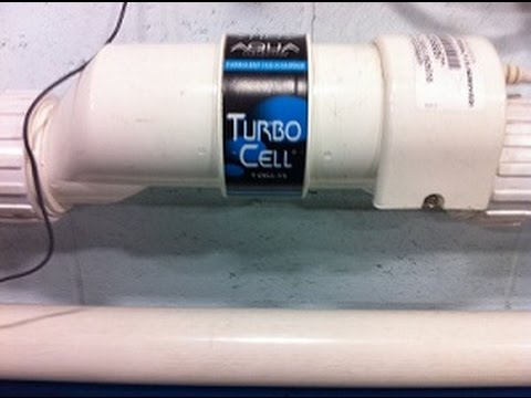 Can You Add Chlorine To A Salt Water Pool?