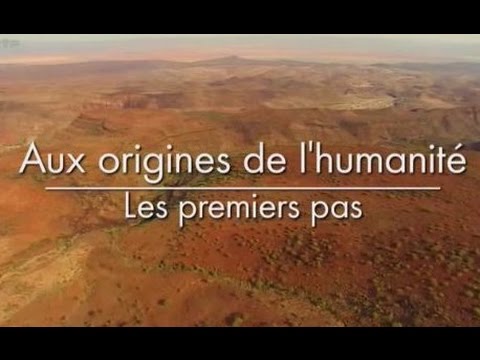 Aux origines de l'humanité - Les Premiers Pas [1/3]