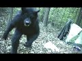 WHAT HIDDEN CAM RECORDS, IS TRULY UPSETTING!