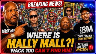 🧨 Federal Custody Or Witness Protection⁉️ Wack 100 Questions Mally Mall Case‼️👀