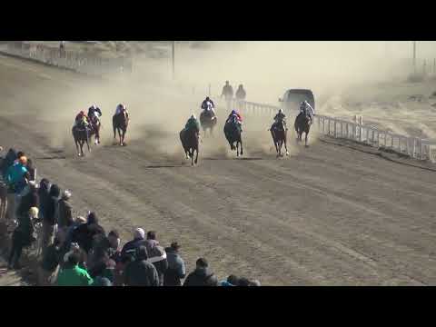 CHE TURCO  Club Hipico Añelo - Añelo -  03/09/2023