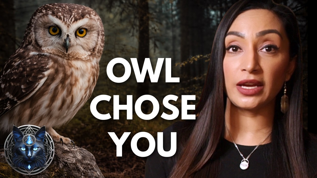 If This Showed Up... You Need To Watch It! ❤︎