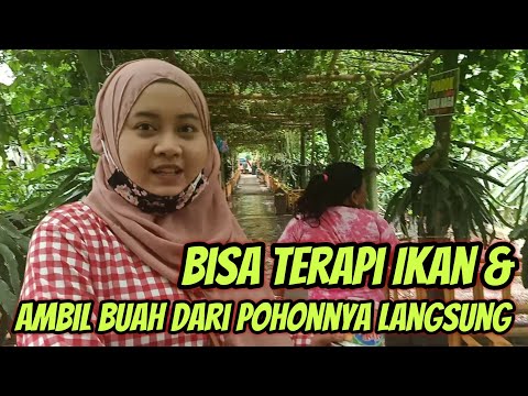 ASTAGA DRAGON Review wisata Banyuwangi Terbaru