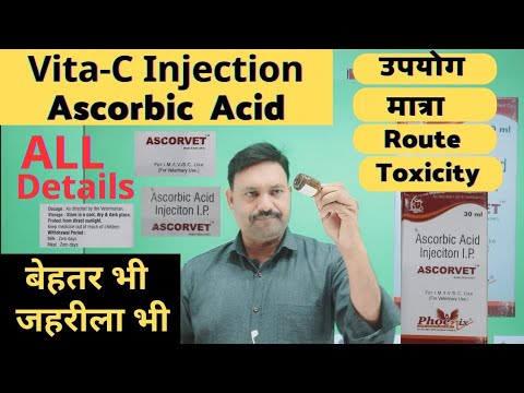Ascorcan 500 100mg/ml Injection