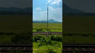 Aane wala pal Jane wala hai | Golmaal movie | Kishore kumar | Amol Palekar movie | Hindi old song