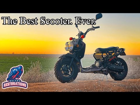 Honda Ruckus (NCS50) Fahrbericht und Test: Der beste Roller aller Zeiten.