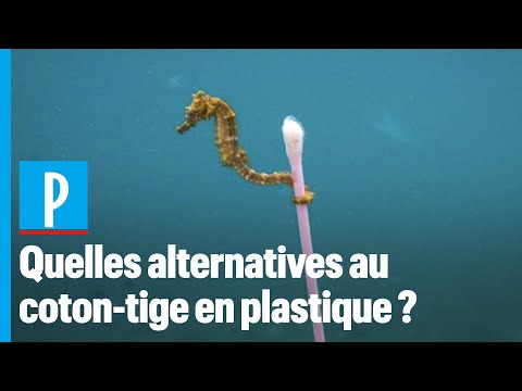 download lagu mp3 mp4 Alternative Coton Tige, download lagu Alternative Coton Tige gratis, unduh video klip Alternative Coton Tige