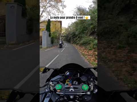 Tout le monde te dis bonjour avec ça ! 😮 #moto #motard #motovlog #motards #h2 #kawasaki #h2r