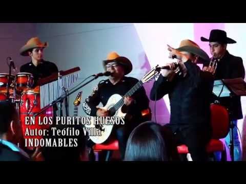 Miniatura del video En los puritos huesos