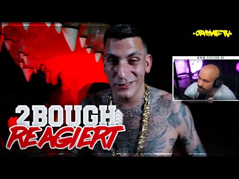 Hops genommen 😂😂 HooD BlogZ 187 Stra$$enbande - Back2Bloggz (Vol. 1) / 2Bough reagiert