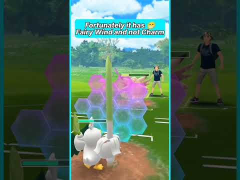 Farfetch'd BRAVE BIRDS Granbull | Sirfetch'd COUNTER Down Clefable |Double FAIRY VS. Double FIGHTER😱