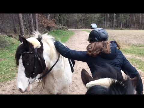 Reiterhof Rohe Stundenreiter - 07.03.2021♥️