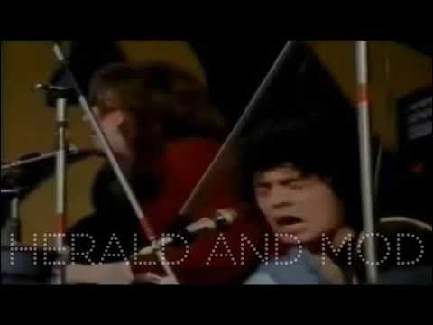 ‘Debora’ • Tyrannosaurus Rex • 1968 •