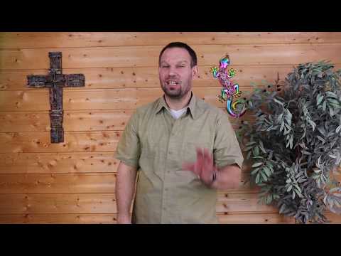 Gedanken zum Tag (08.05.2020)