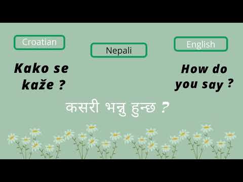 Basics Croatian language Phrases In Nepali || #croatian